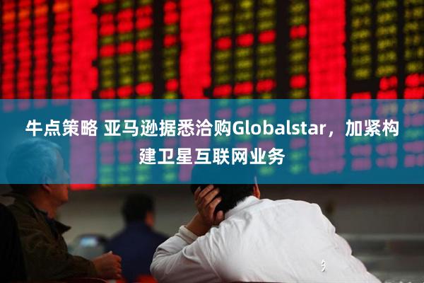 牛点策略 亚马逊据悉洽购Globalstar，加紧构建卫星互联网业务