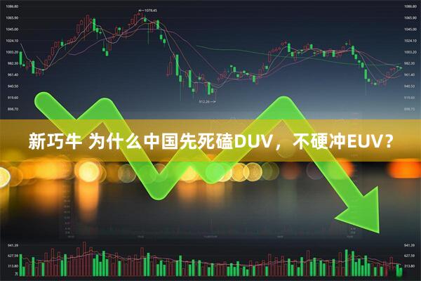 新巧牛 为什么中国先死磕DUV，不硬冲EUV？