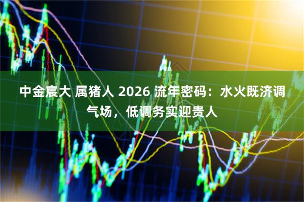 中金宸大 属猪人 2026 流年密码：水火既济调气场，低调务实迎贵人