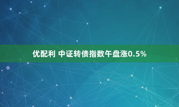 优配利 中证转债指数午盘涨0.5%