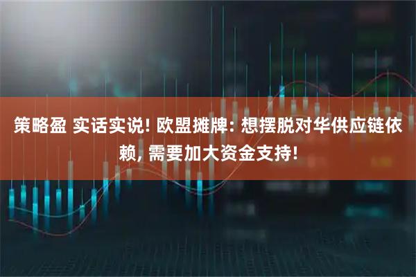策略盈 实话实说! 欧盟摊牌: 想摆脱对华供应链依赖, 需要加大资金支持!