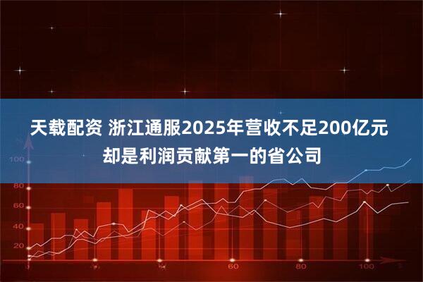 天载配资 浙江通服2025年营收不足200亿元 却是利润贡献第一的省公司