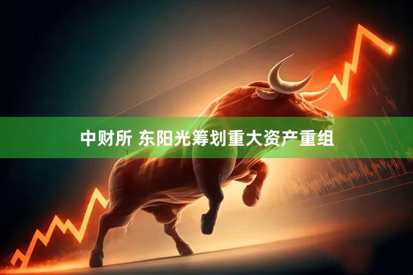 中财所 东阳光筹划重大资产重组