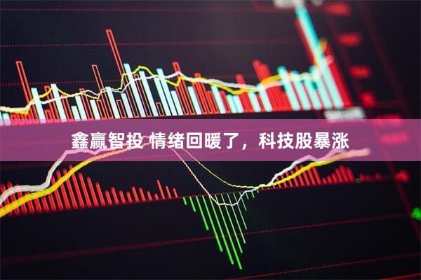 鑫赢智投 情绪回暖了,科技股暴涨