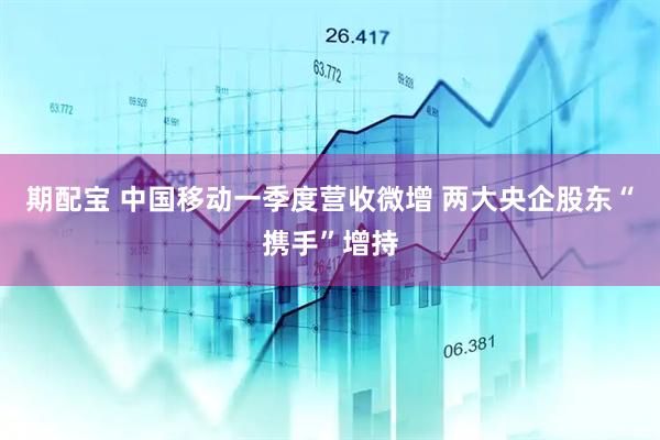 期配宝 中国移动一季度营收微增 两大央企股东“携手”增持