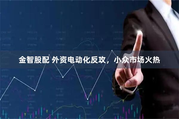金智股配 外资电动化反攻，小众市场火热
