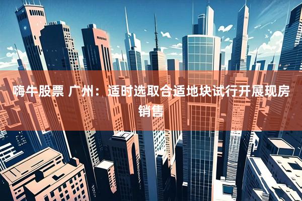 嗨牛股票 广州：适时选取合适地块试行开展现房销售