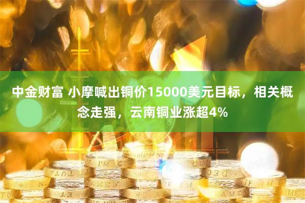 中金财富 小摩喊出铜价15000美元目标,相关概念走强,云南铜业涨超4%