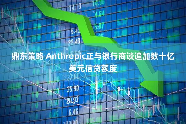 鼎东策略 Anthropic正与银行商谈追加数十亿美元信贷额度